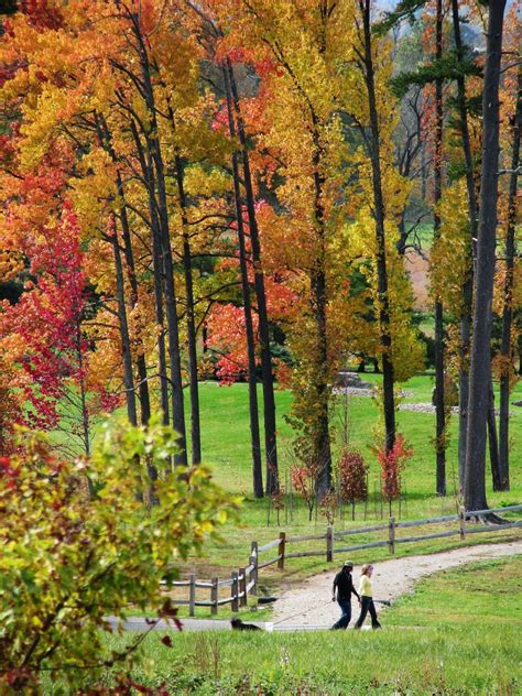 Dawes Arboretum - I love visiting this place! Buckeye Lake, The Buckeye State, Granville Ohio ...