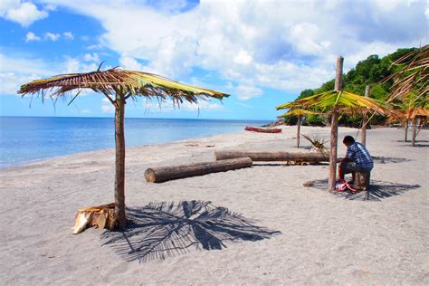 Having It Made In The Mero Beach Shade, Dominica | Dominica