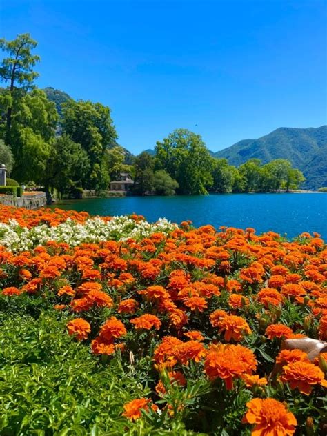 11 of the Best Things to Do in Lugano, Switzerland - Global Viewpoint