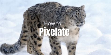 4 Quick Ways to Pixelate an Image in Photoshop