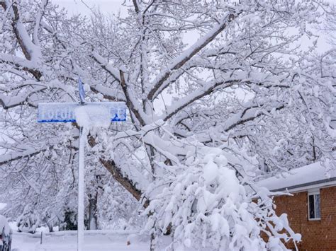 Boulder, Colorado Winter: What You Need to Know Before You Visit (2023)