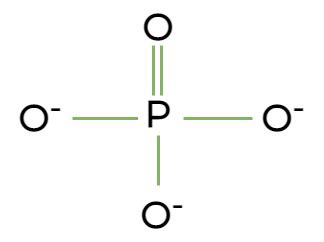 Phosphate Wikipedia, 53% OFF | www.oceanproperty.co.th