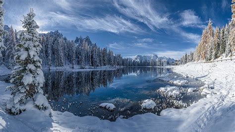 Winter Landscape Lake Reflection Pine Forest Trees With Snow White Tablecloth Blue Sky With ...