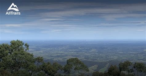 10 Best hikes and trails in Yarra Ranges National Park | AllTrails