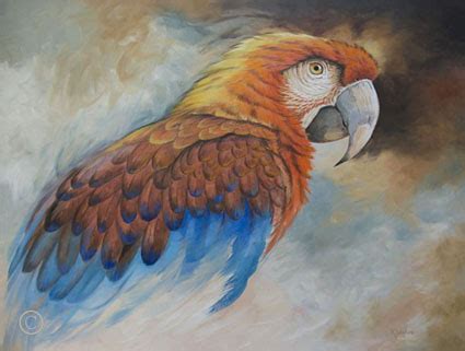 The Cuban Macaw | World Parrot Trust