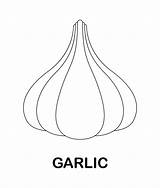 Garlic Coloring Page sketch template