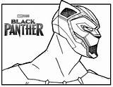Panther Panter Pantera Colorear Ausmalbild Felino Stampare Kleurplaat  sketch template