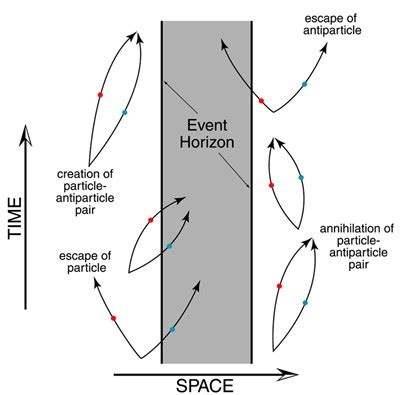 black holes - What are the virtual particles generated during the ...