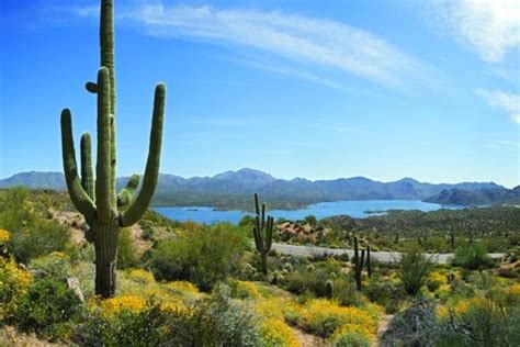 Best Things to Do in Scottsdale - USA TODAY 10Best