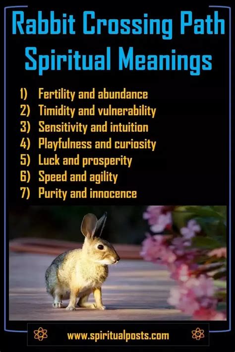 Spiritual Meaning of Rabbit Crossing Your Path (Good Luck!) | Spiritual Posts | Spirit animal ...