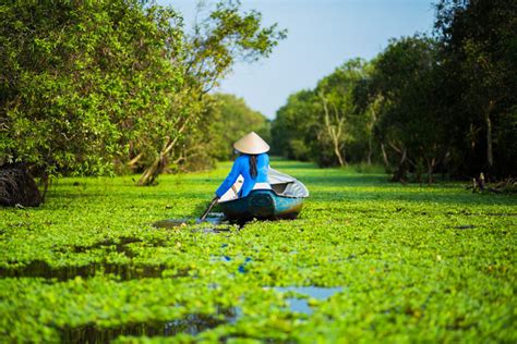 Top 4 Must-visit Forests in Mekong Delta Vietnam - Eviva Tour Blog