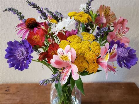 Yarrow Flowers