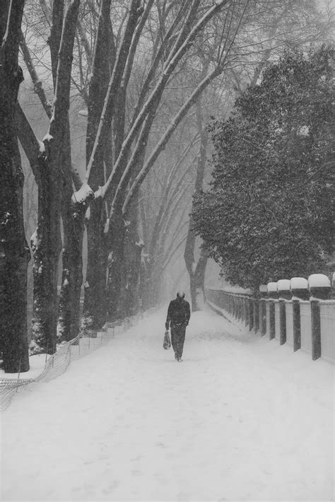 Winter of Istanbul on Behance