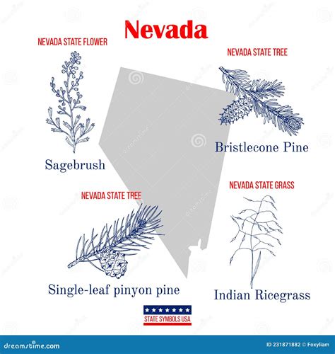 Nevada. Set of USA Official State Symbols Stock Vector - Illustration of american, flower: 231871882