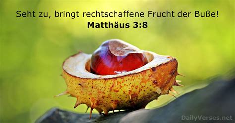 24. November 2019 - Bibelvers des Tages - Matthäus 3:8 - DailyVerses.net