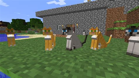 minecraft cats | TheXboxHub