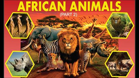 Learn African Animals | Learn Wild Animals Names | Kids Video | Part 2 ...