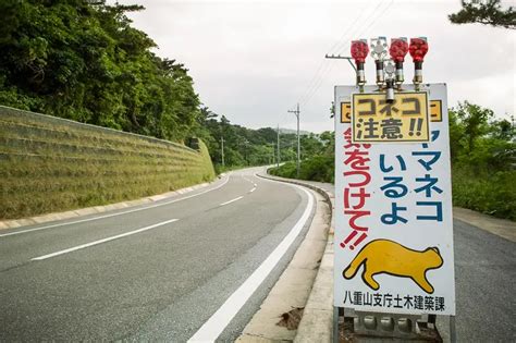 20 Funny Signs From Japan | 100 Travel Stories