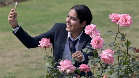 Chandigarh: Rose Festival returns with 831 varieties of blooms - Hindustan Times