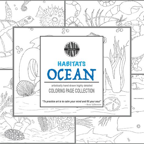 Ocean Coloring Pages, Detailed Coloring Pages, Coloring Sheets, Coloring Books, Ocean Habitat ...