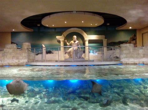 Istanbul Aquarium at Aqua Florya | What to do in Istanbul