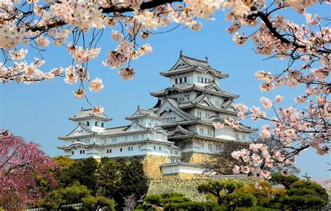 Photo Wallpaper Spring, Japan, Flowering, Himeji Castle - Himeji Castle Japan - 1332x850 ...