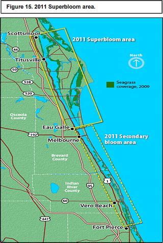 Indian River Lagoon Overview - Indian River Lagoon Encyclopedia