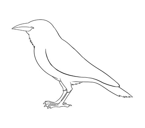 Simple Raven Drawing at GetDrawings | Free download