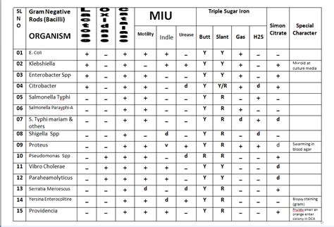 Chart of -Finding Result of Gram Negative Bacilli in Biochemical & Others Test - AdmiLab