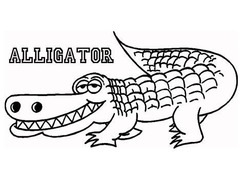 Alligator coloring, Download Alligator coloring for free 2019