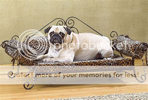 WROUGHT IRON SAFARI DOG BED LARGE NEW ITEM LOOK | eBay