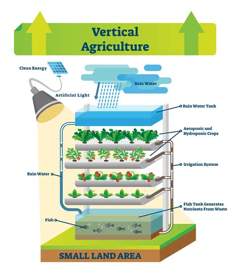 Vertical Farming Takes Food Production to Greater Heights