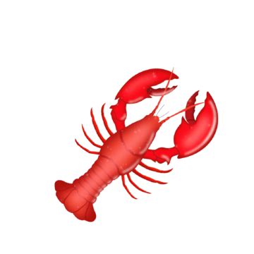 Lobster Art PNG Transparent Images Free Download | Vector Files | Pngtree