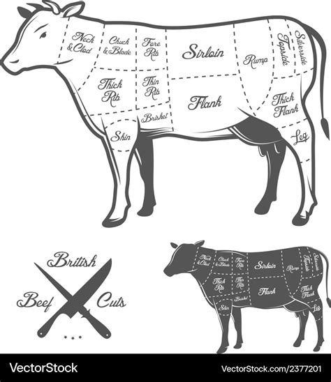 British butcher cuts of beef diagram Royalty Free Vector