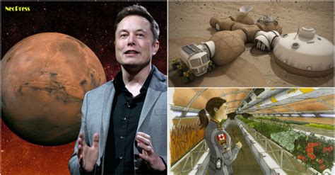 Elon Musk's vision of self-sustaining city on Mars explained - NeoPress