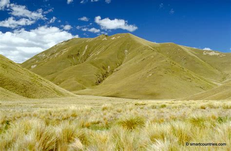 Tussock Grass Hills | Geographic Media