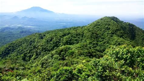 Mt Makiling (UPDATED): Your Complete DIY Travel Guide