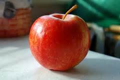 The Apple in The Giver by Lois Lowry | Symbolism & Significance | Study.com