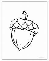 Acorn Coloring Pages sketch template