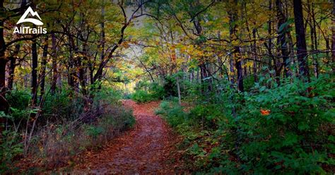 Best Trails in Glen Helen Nature Preserve - Ohio | AllTrails