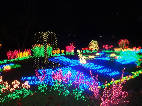 Botanical Garden Christmas Lights Denver - totalegossip