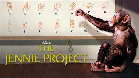 Episode #30 - The Jennie Project (2001) - YouTube