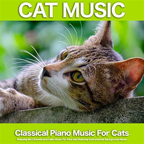 Cat Music: Classical Piano Music For Cats, Relaxing Bird Sounds and ...