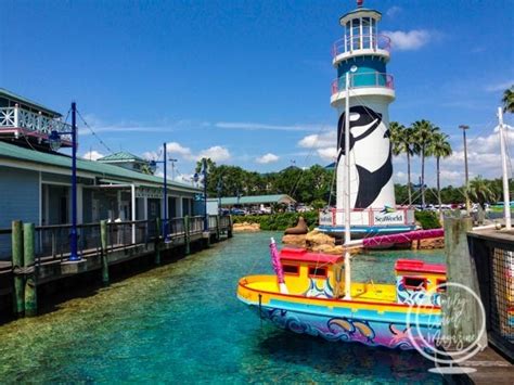 Must-Do SeaWorld Orlando Rides: Thrill Rides, Toddler Rides, and More