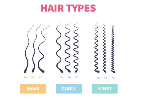 Wavy Hair Vs. Curly Hair: What Are the Differences? – HairstyleCamp