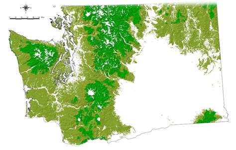 Learn Forestry - Washington Forests – Washington Forest Protection Association