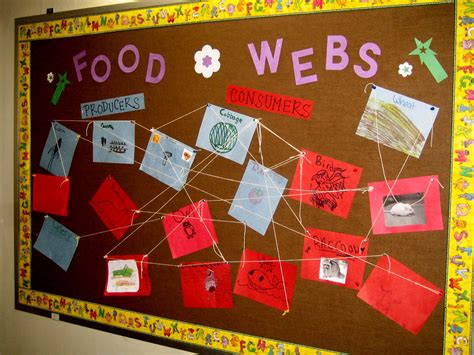 bulletin board | we made this in science last quarter. i jus… | Flickr