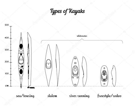 Set of different kayak types in comparison according to their length ...