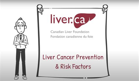 Liver Cancer Prevention & Risk Factors - Canadian Liver Foundation