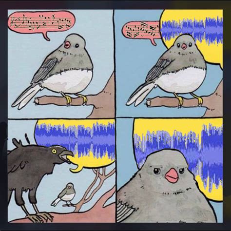 Why the Screaming Crow Meme is Hilariously Relatable